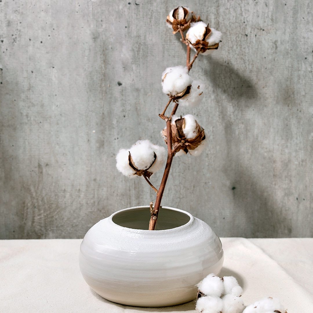 vase-with-cotton-flowers-2021-08-30-06-15-56-utc.jpg vase-with-cotton-flowers-2021-08-30-06-15-56-utc.jpg